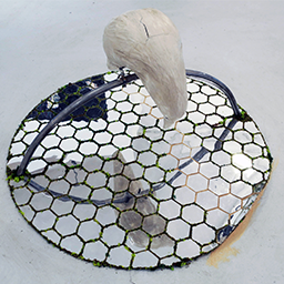 Significant Insignificance - Reflections on Roadblocks