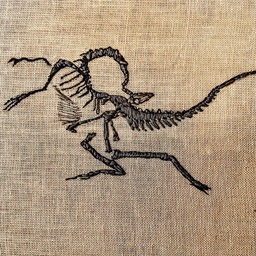 Mixed Media & Textile