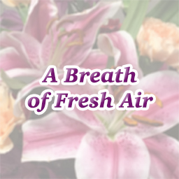 01 For Jurying Consideration 