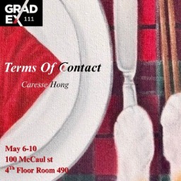 Terms of Contact: Cultural Identity in the Domestic Space