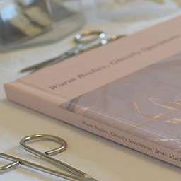 Written Work | Warm Bodies, Ghostly Specimens, Stoic Machines