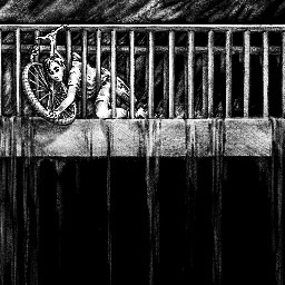 “Extraordinary Encounters”