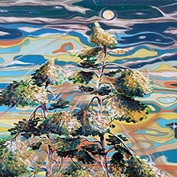 The Individuation Process