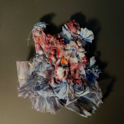 Thesis Work: "Letting go of a Unachievable Dream"