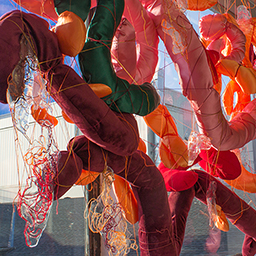 Installation/Sculpture