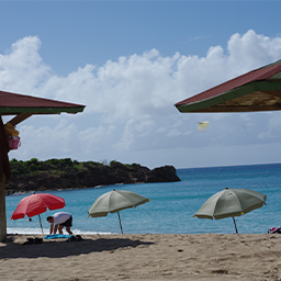 Living in Paradise Series