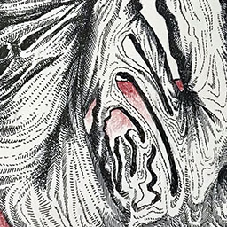 The Martyrdom of Aaron Swartz