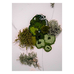 For Jury Consideration