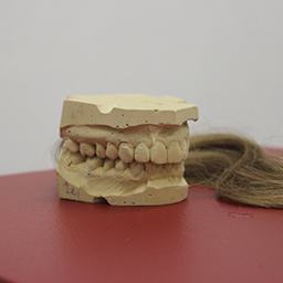 Archaeology of Home and Body