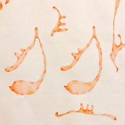 01 For Jurying Consideration