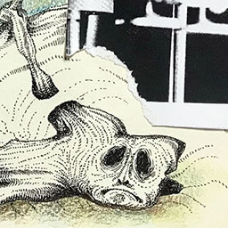 Epistemological Study of Algorithms