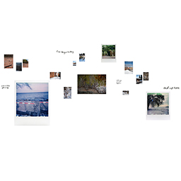 Where We Used to Walk