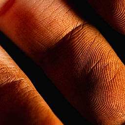 01 For Jurying Consideration