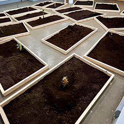 01 For Jurying Consideration