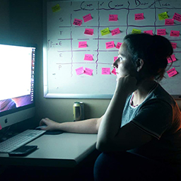 Future of Online and Digital Learning in  Art Institutions