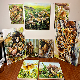 01 For Jurying Consideration