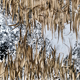 04 For Jurying Consideration