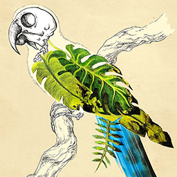 Weathering Through a Troubled Climate