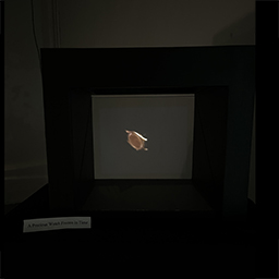 01 For Jurying Consideration