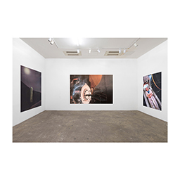 Thesis: In Defense of the Simple Image