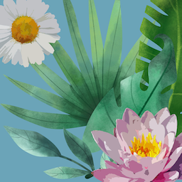 01 For Jurying Consideration