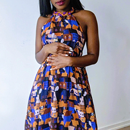 Africville: A History Erased