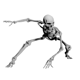 3D Modelling & Animation