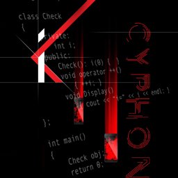 03 Video & Animation