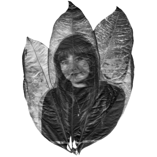 MadisonBrook Schneider