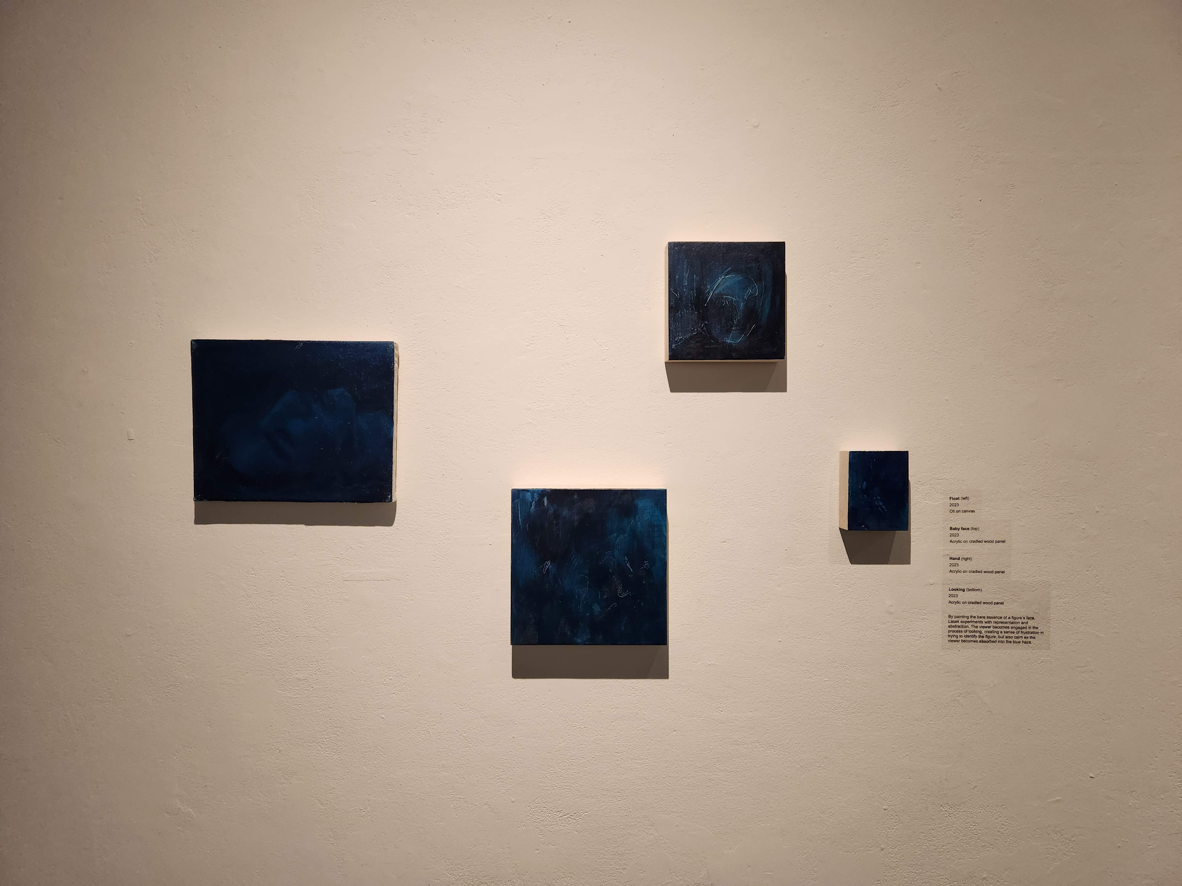 Anatomy of Blue Installation Shot