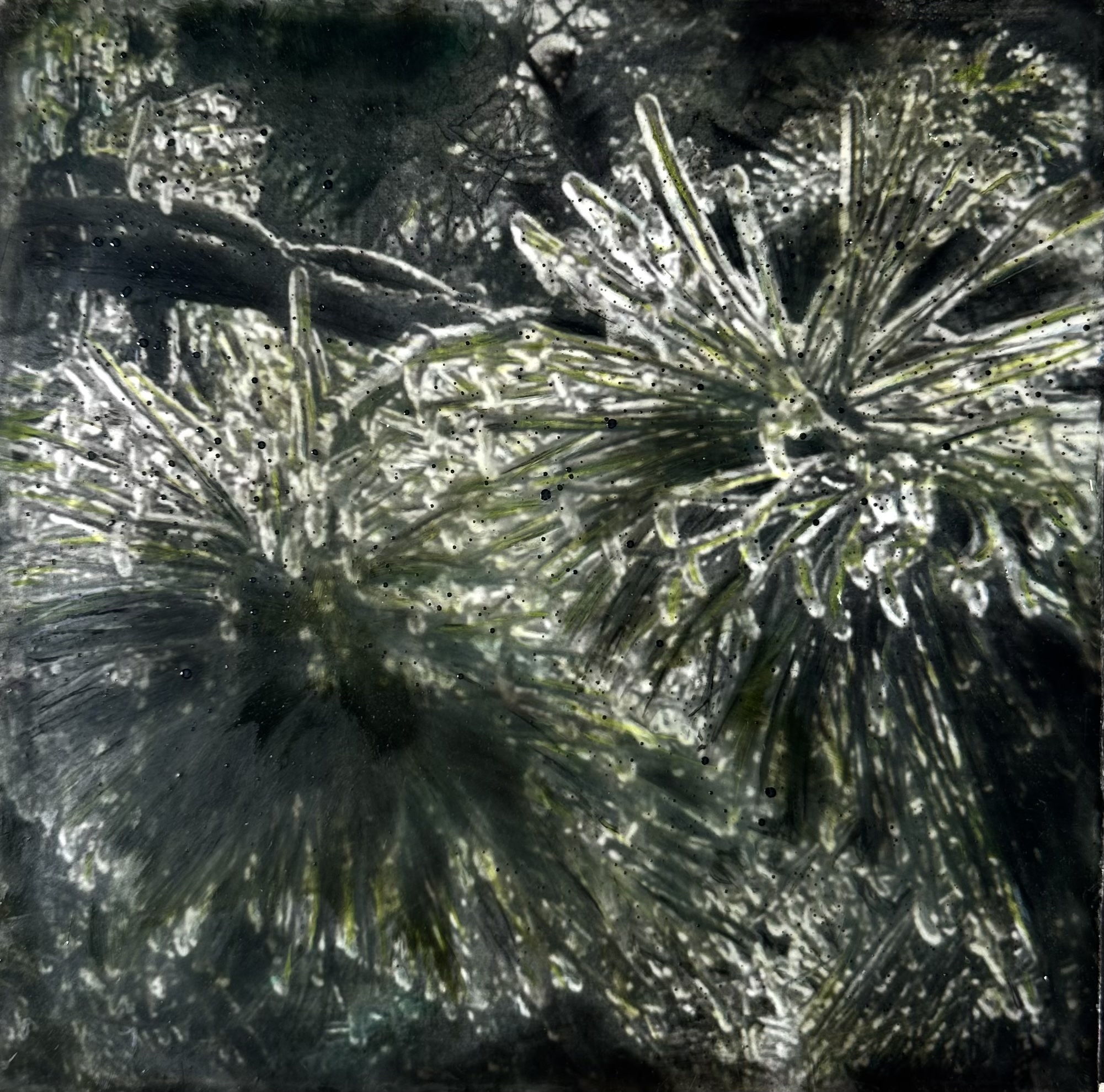 'Beauty in Frozen Devastation 6'