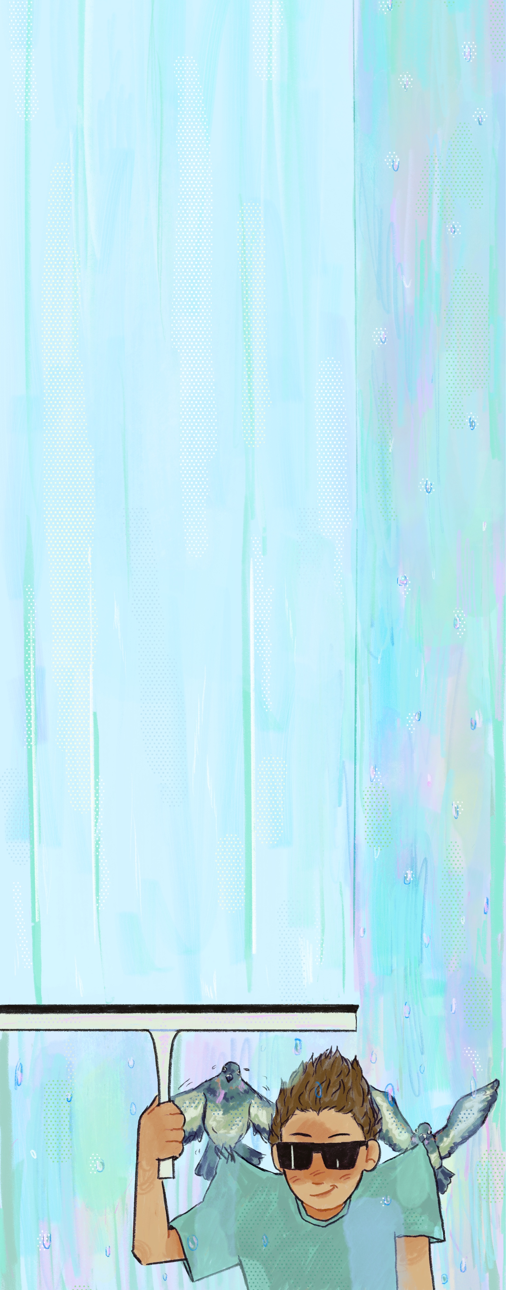 Window Washing