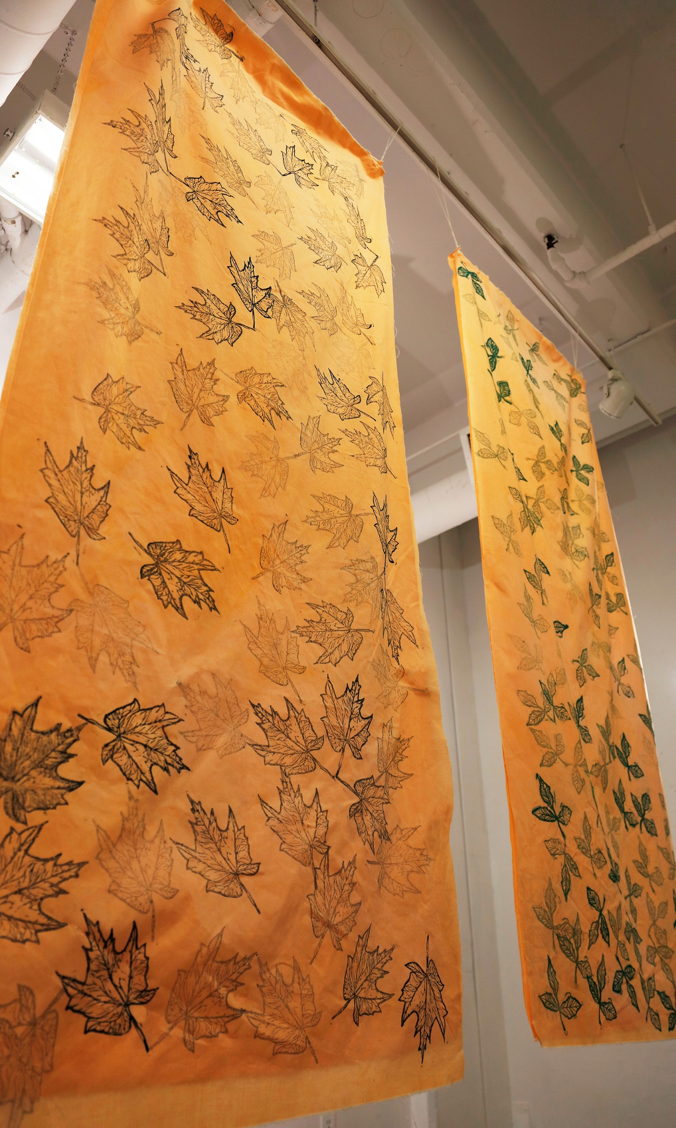 Madhuban (GradEx 107)