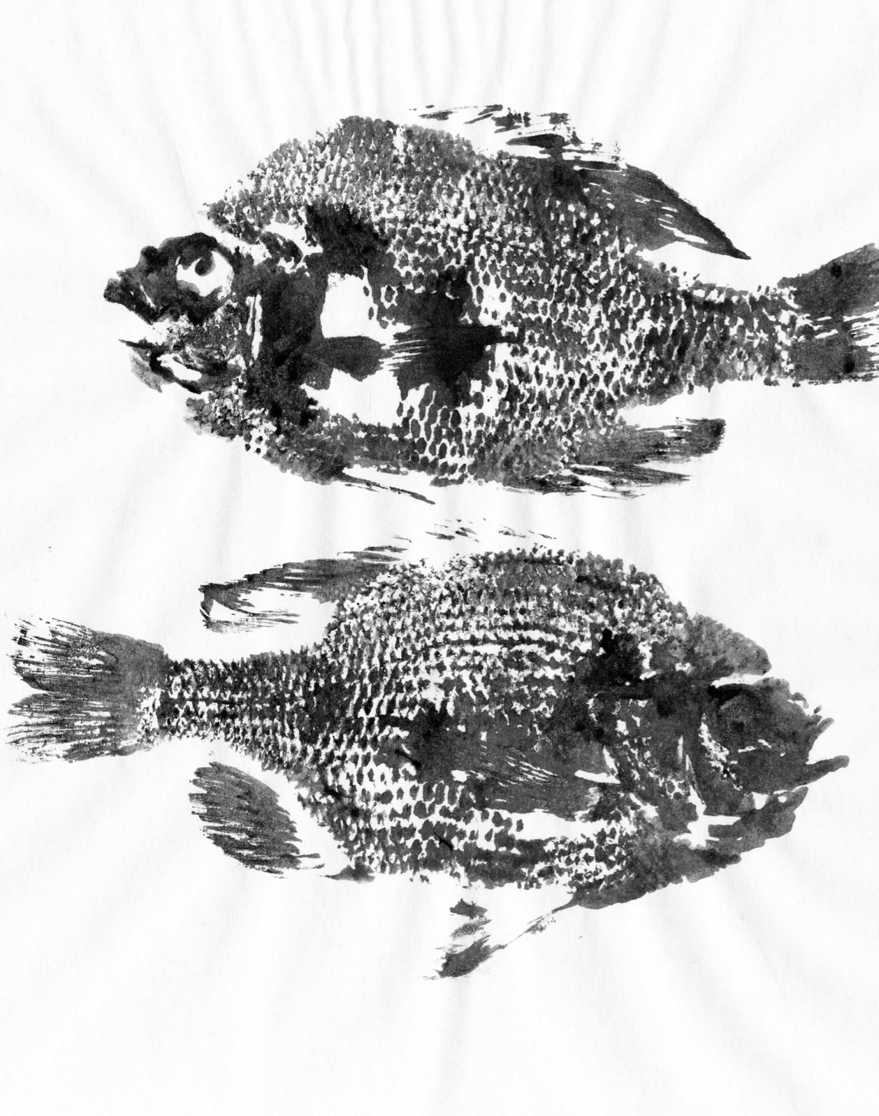 Fish Prints