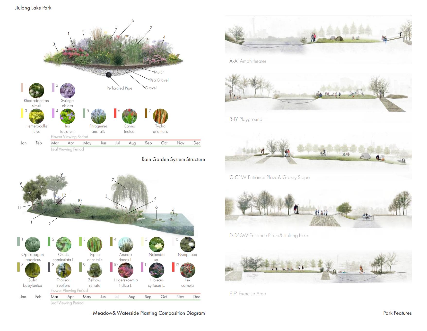 Natural& Entertaining Feature