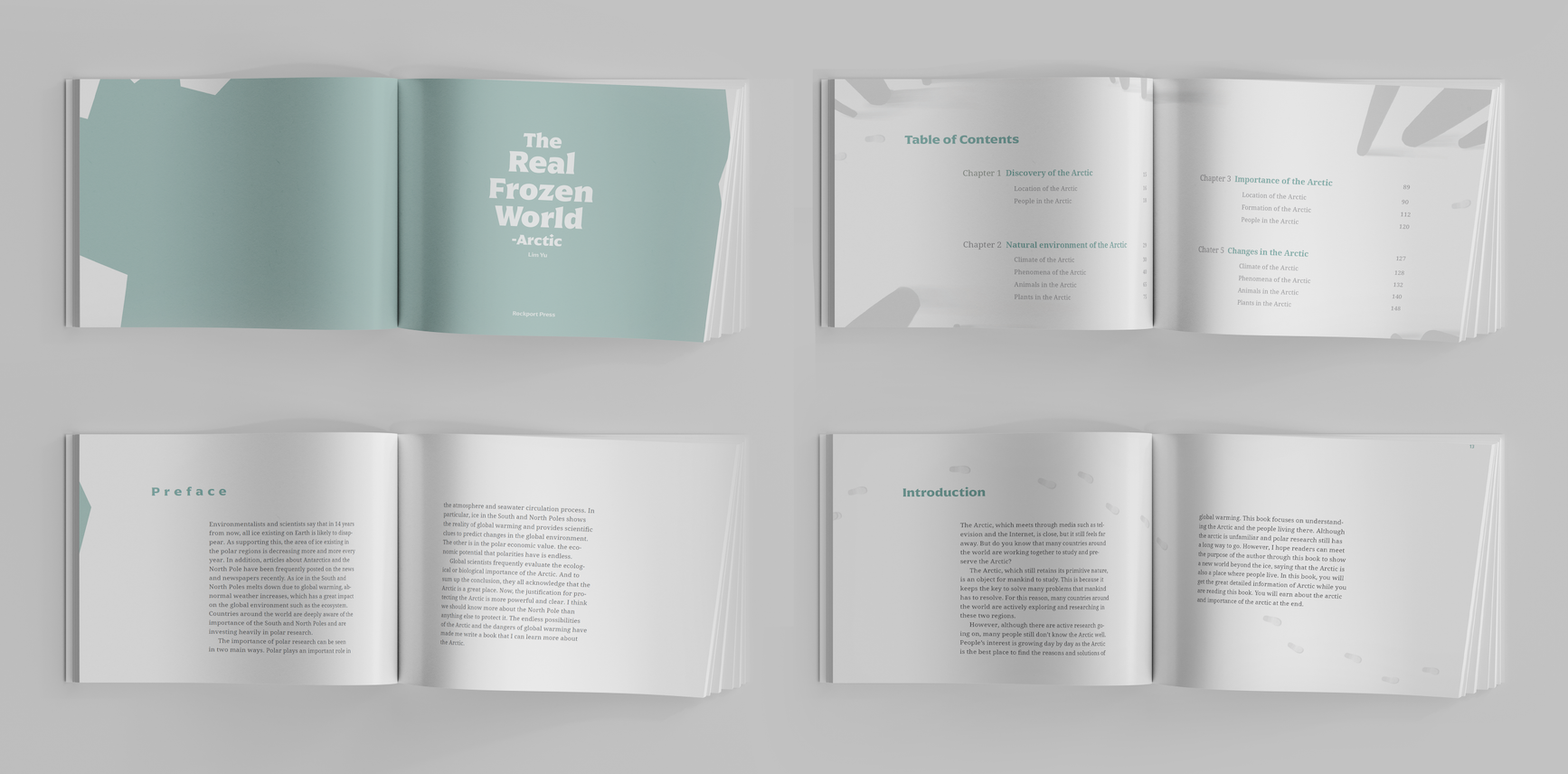 Save the Arctic Book/Booklet