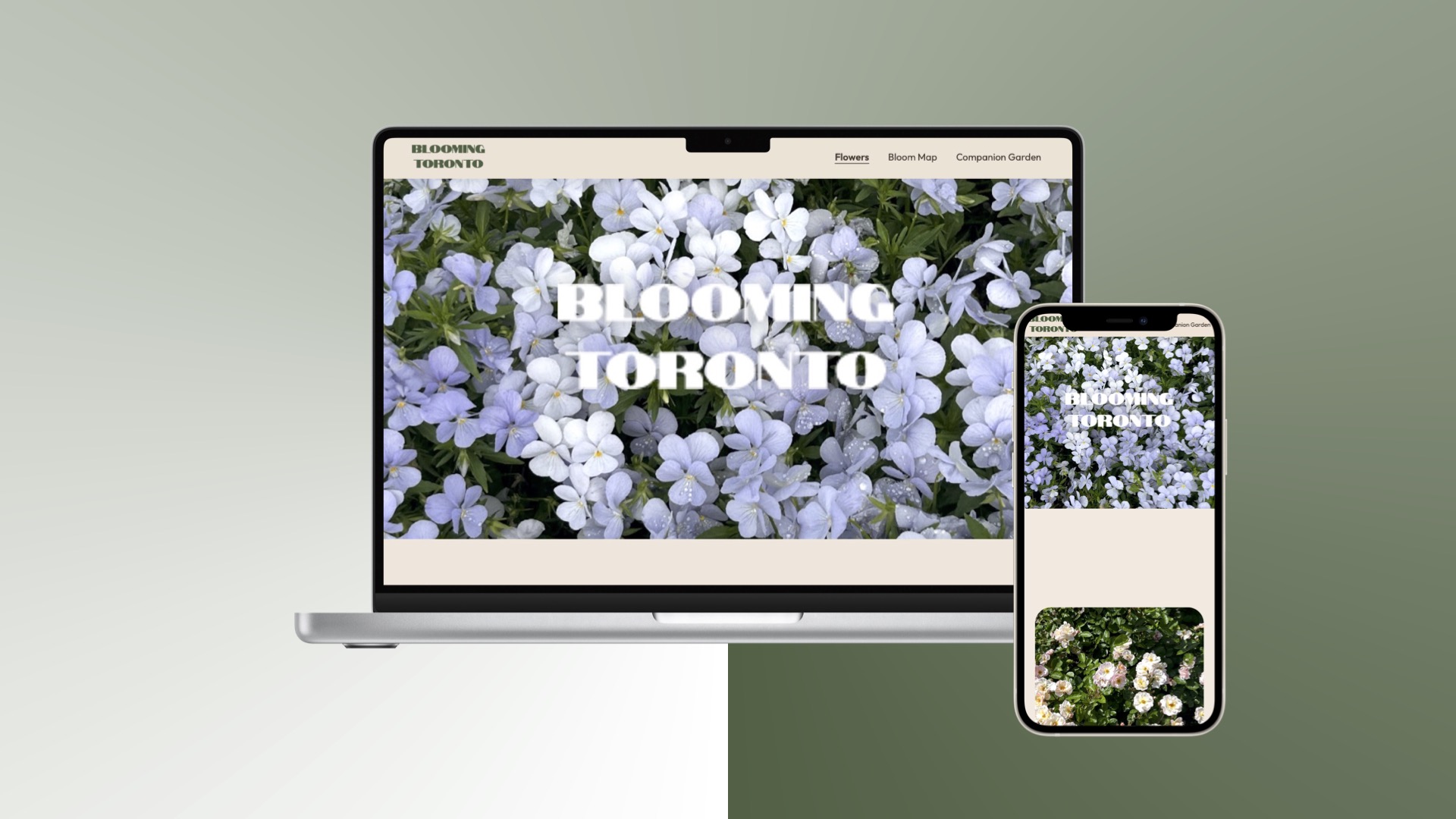 Blooming Toronto