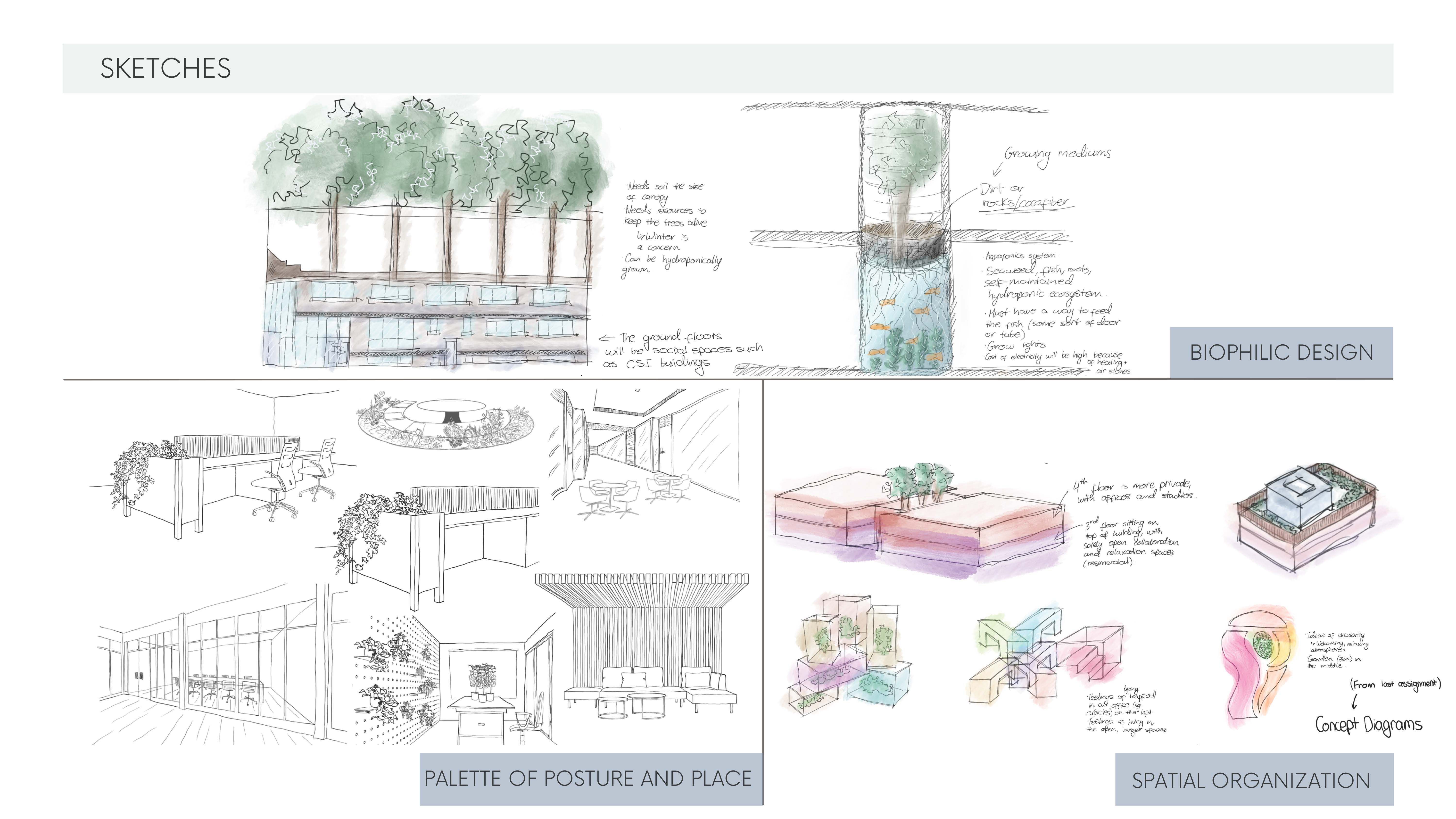 The Comfy Collective