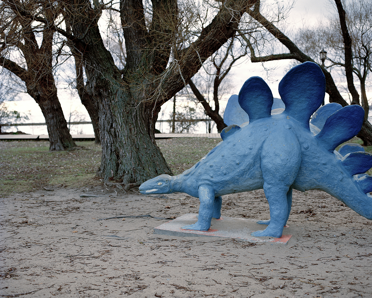 not today, not tomorrow