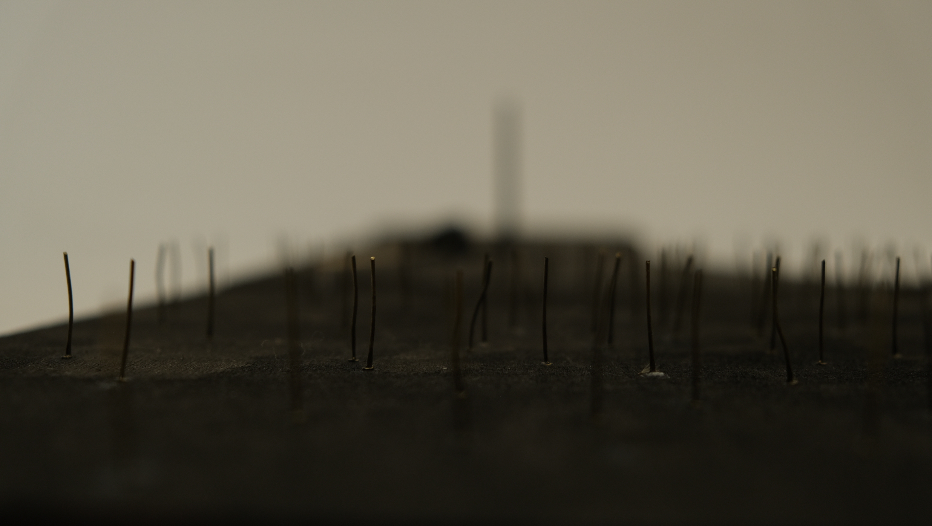 The Ascent's Site Model