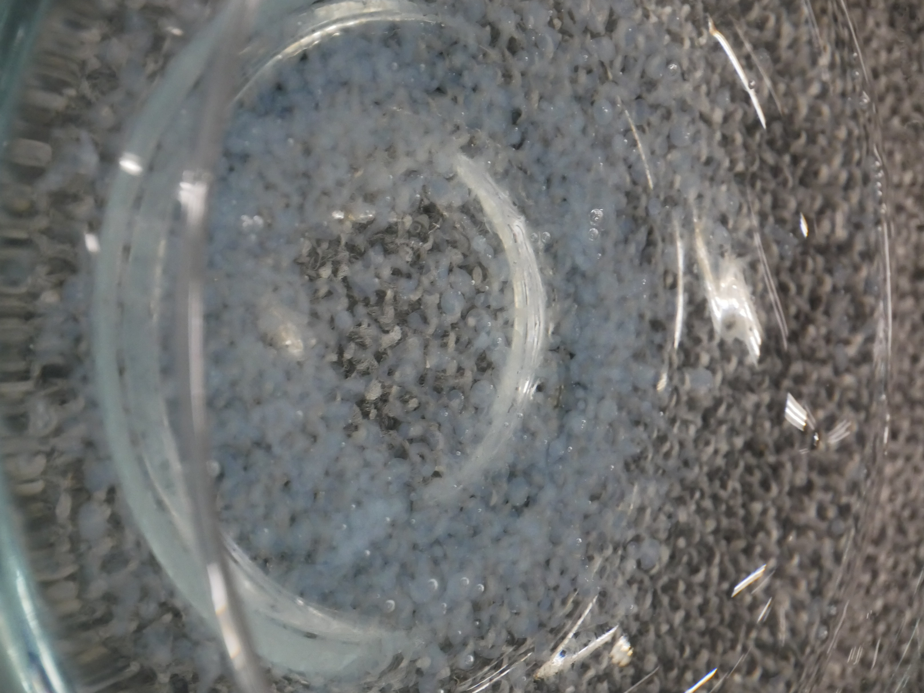 I Think I Catch the Water