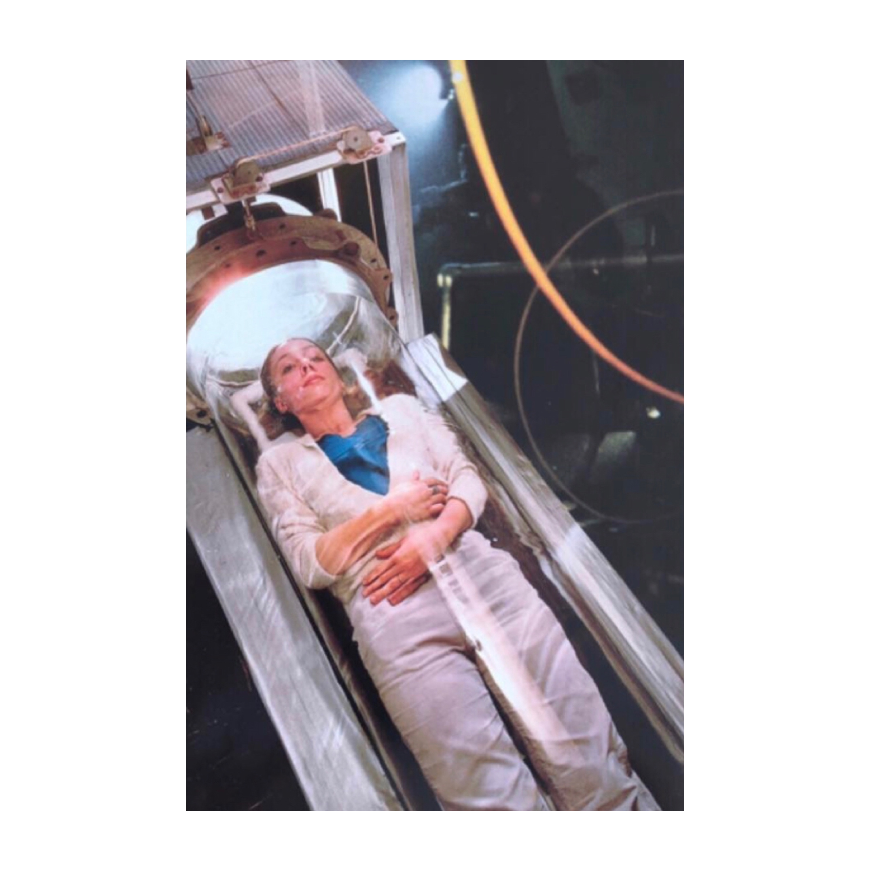 Cryopreservation Birth Chamber, 2020, Collage, 36 x 23.5