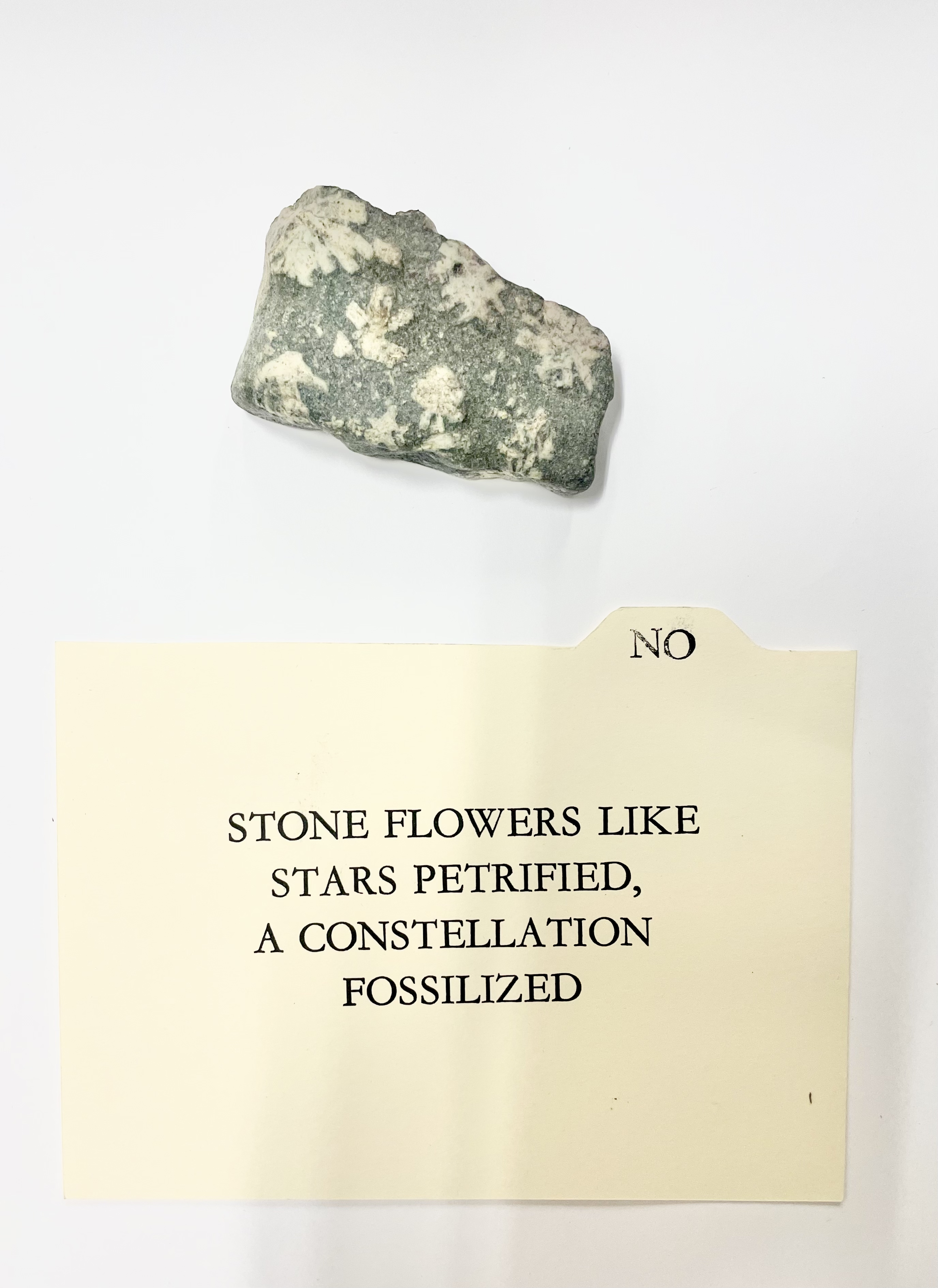 Card Catalogue Excerpt (2)