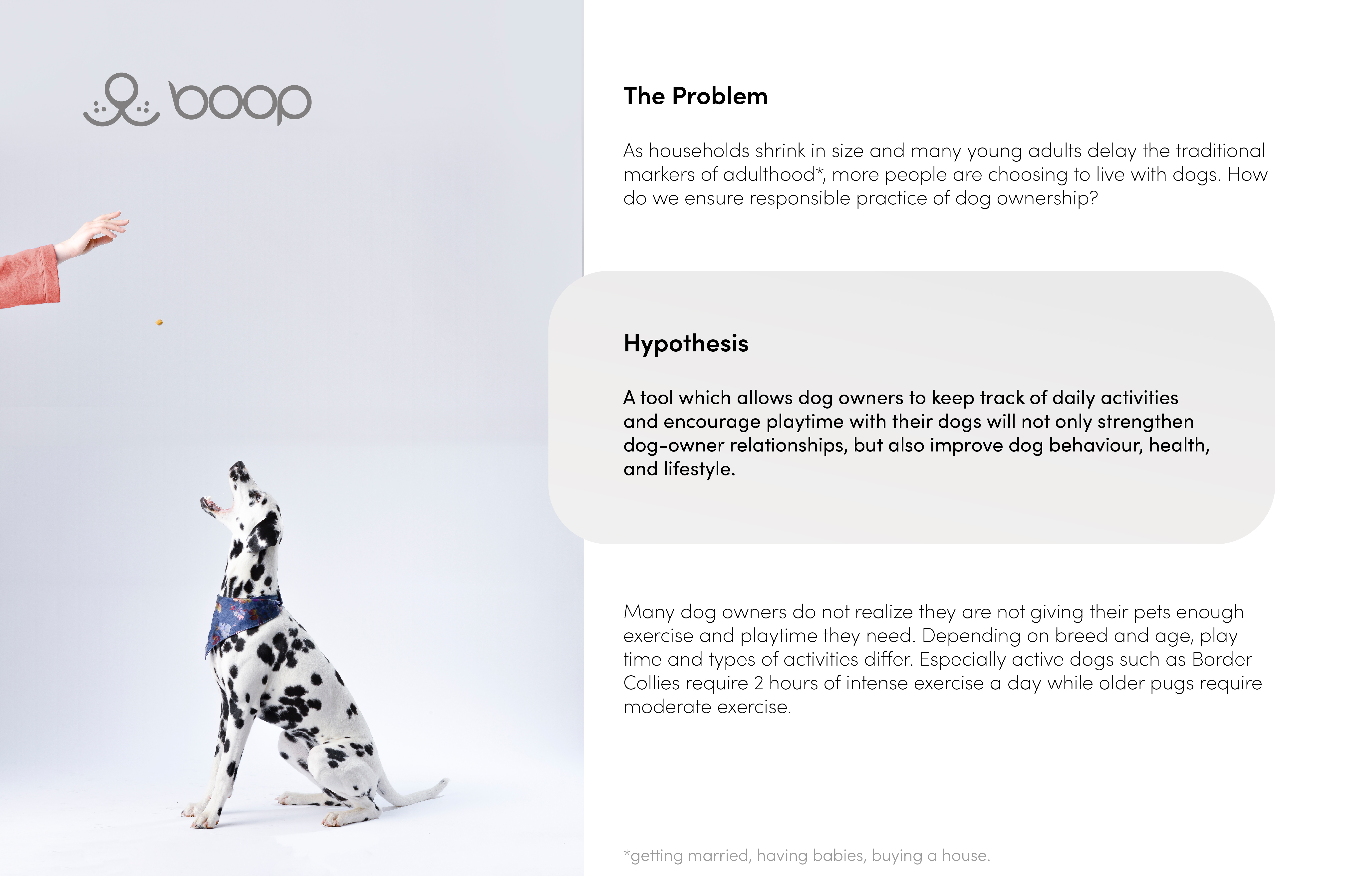 boop: AR Pet Tracker