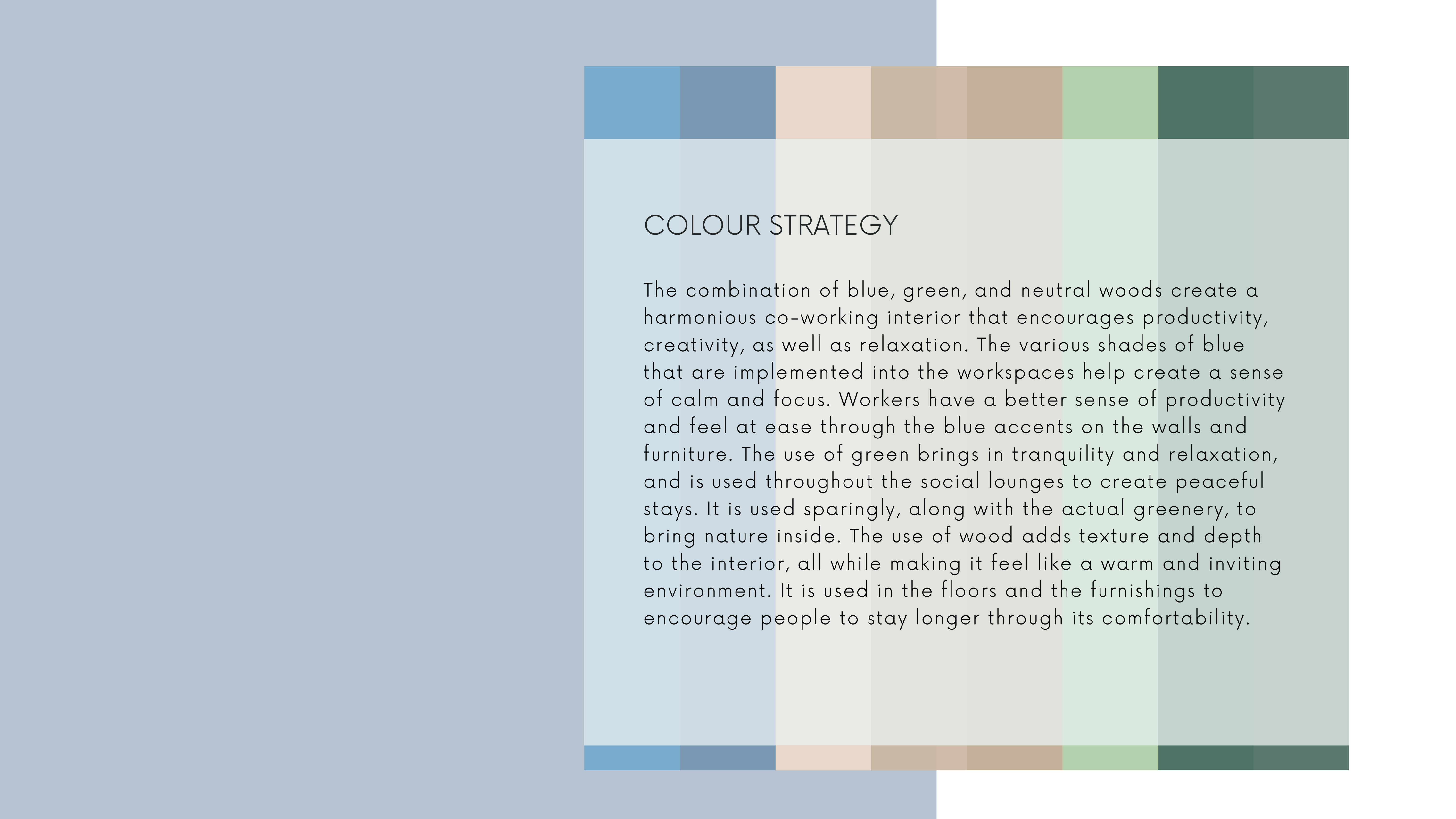 The Comfy Collective