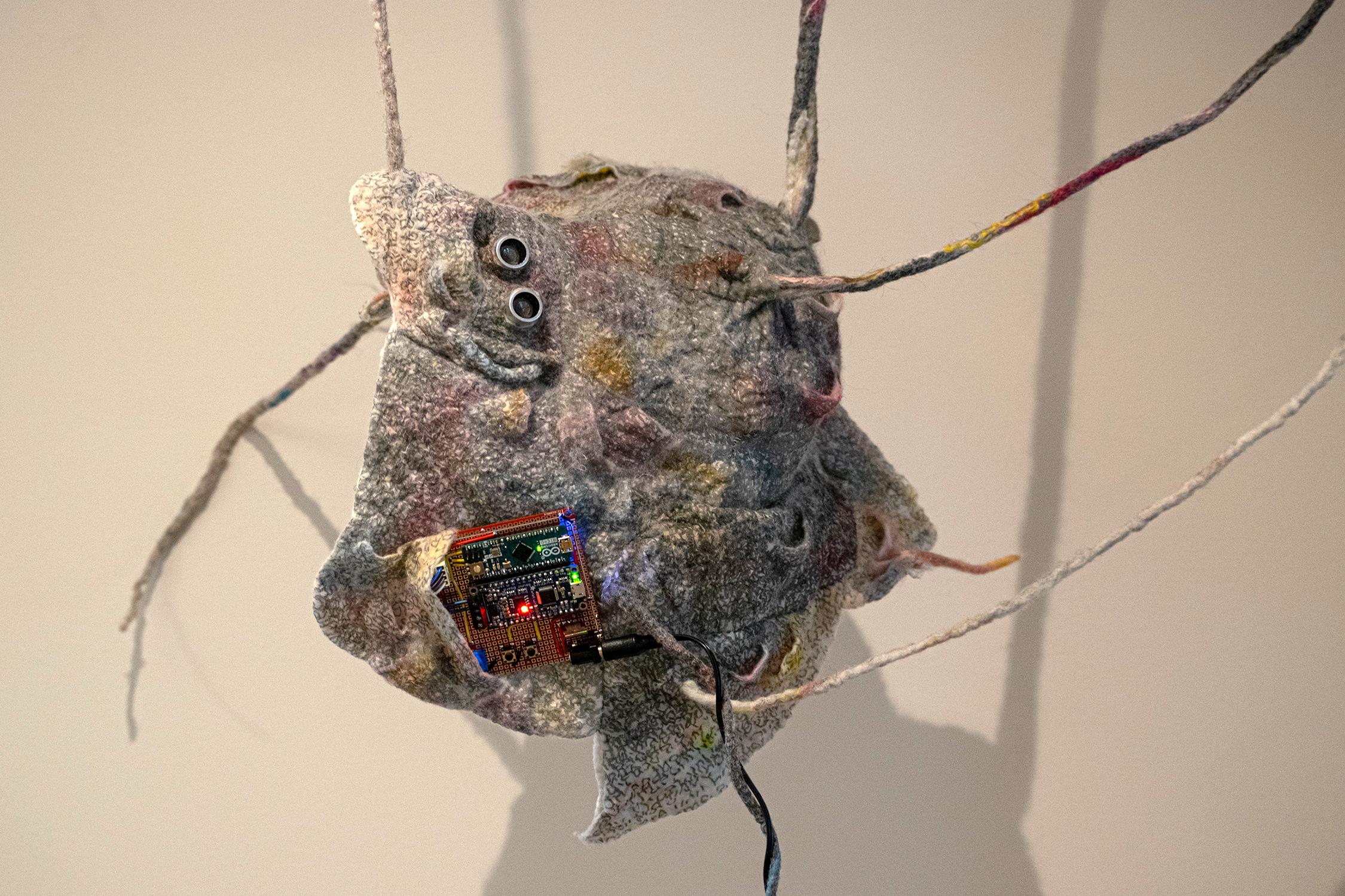 Failed Solitude / Signal or Noise?