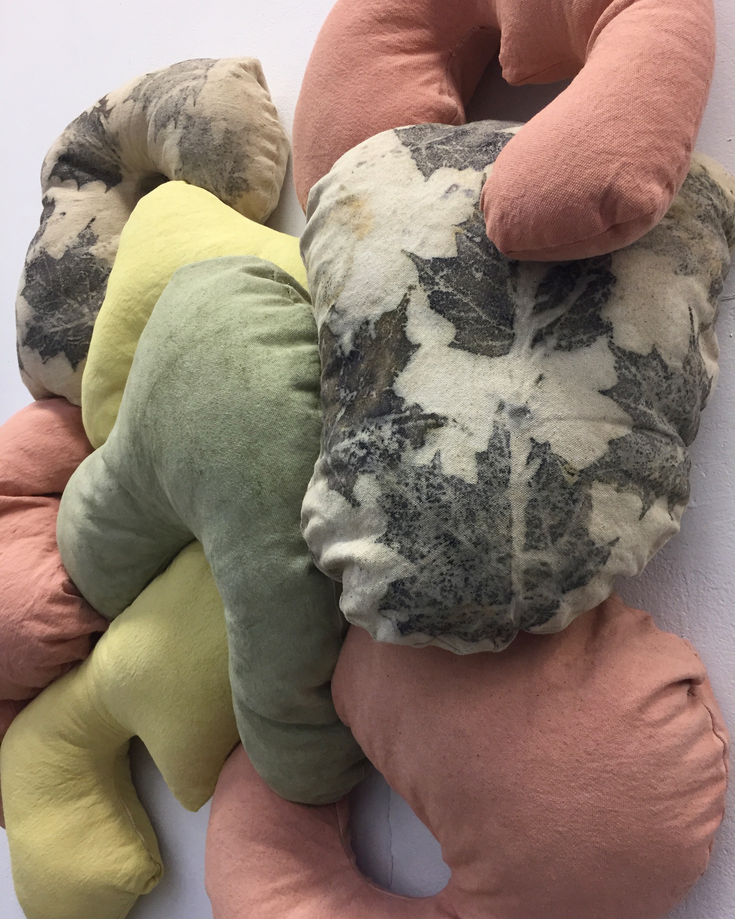 Untitled (Goldenrod, Sumac, Black-Eyed Susan, Apple Bark)