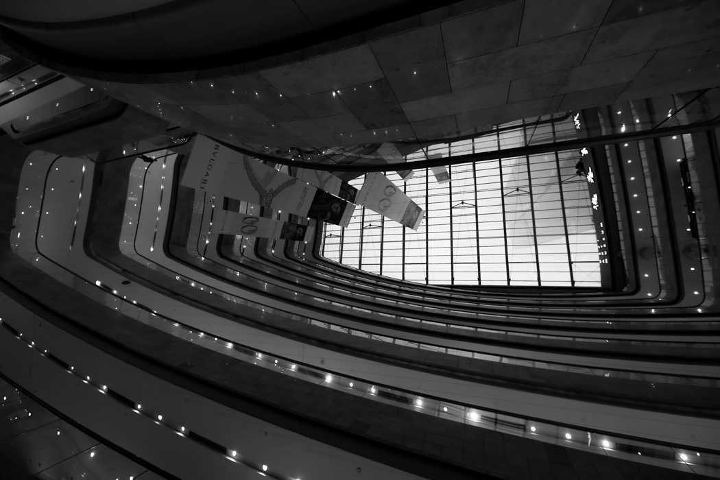 Live in Steel Forest