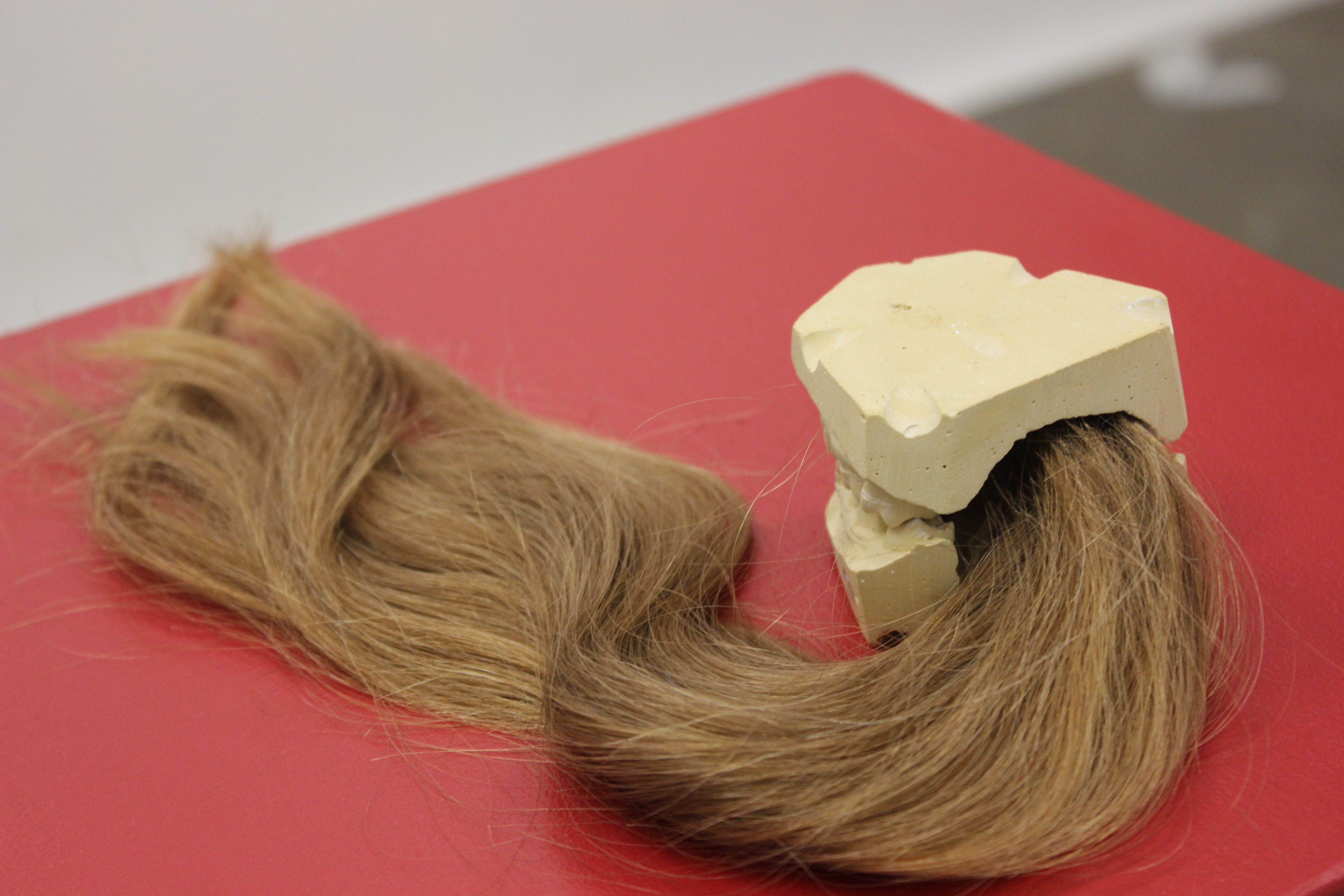 Archaeology of Home and Body