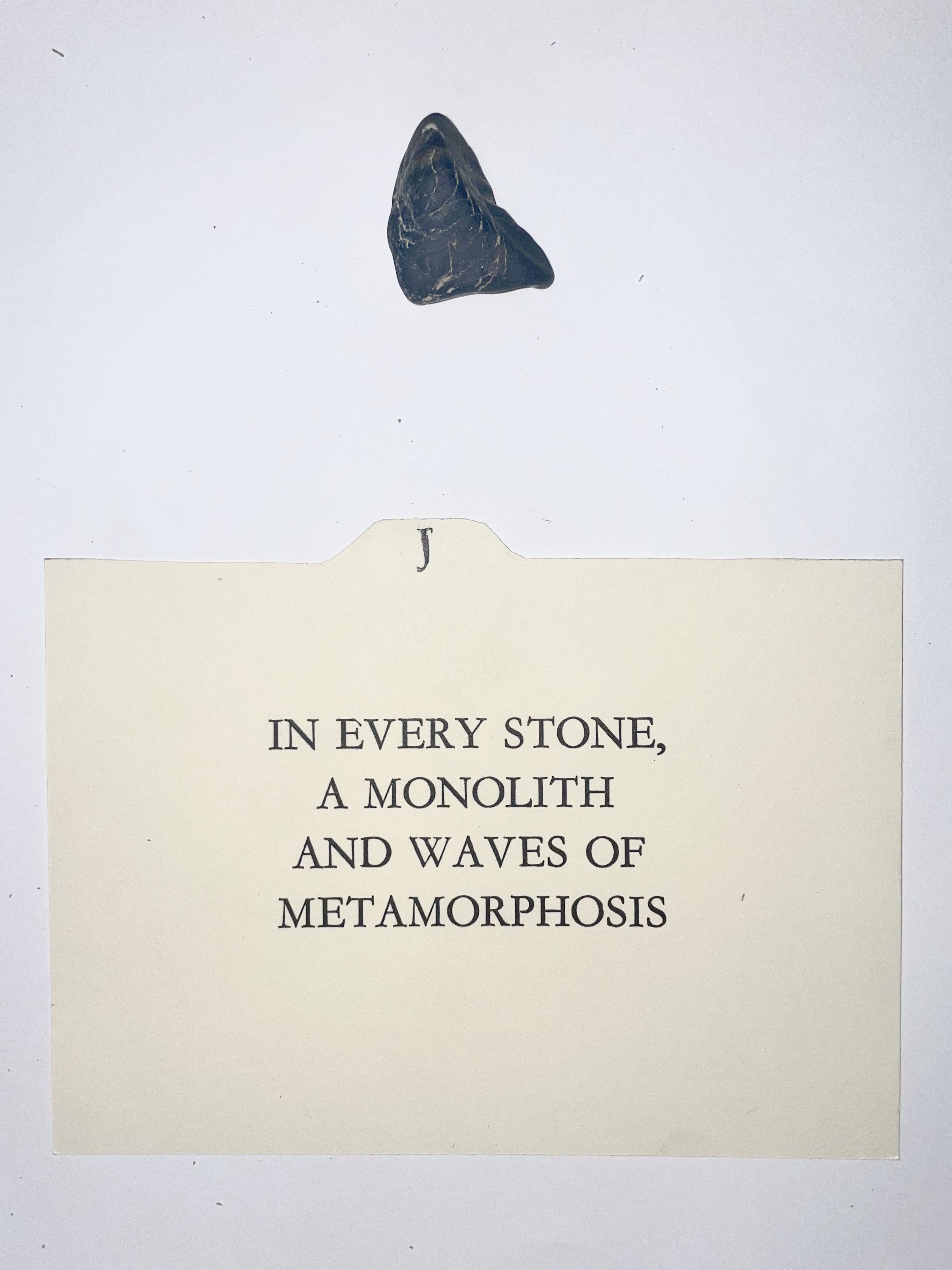 Card Catalogue Excerpt